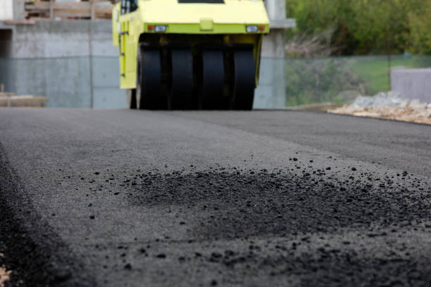 Best Local Driveway Pavers  in Old Forge, PA