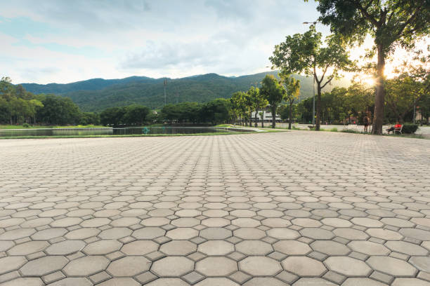 Best Professional Driveway Pavers  in Old Forge, PA